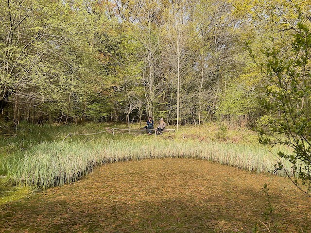 Two designers sit on a bench in the distance on the other side of a pond.